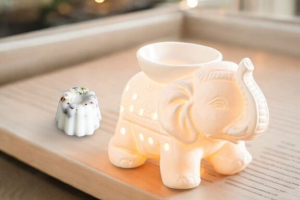brule parfum éléphant blanc